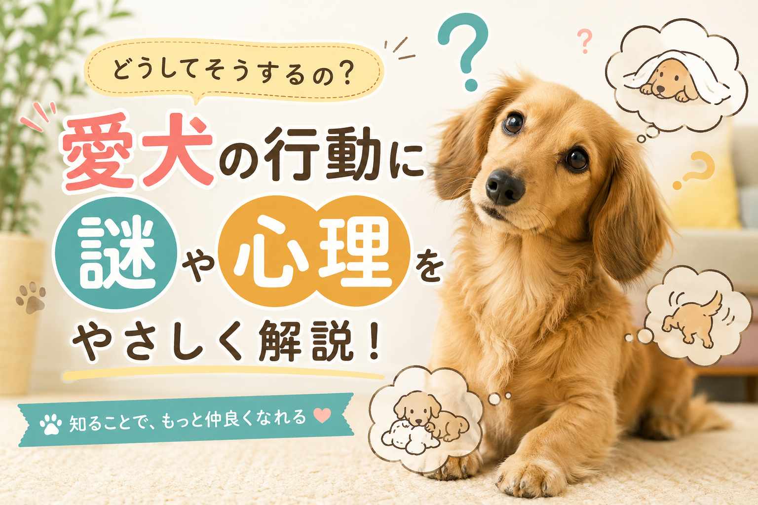【愛犬の心と行動の背後に迫る】愛犬が見せる行動の謎：その心理と理由を徹底解説 | チワワと僕と楽しい愛犬ライフ