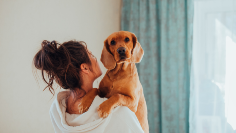 犬が喜ぶ撫で方と撫でるときのポイントを完全ガイド|愛犬との絆を深める方法 | チワワと僕と楽しい愛犬ライフ